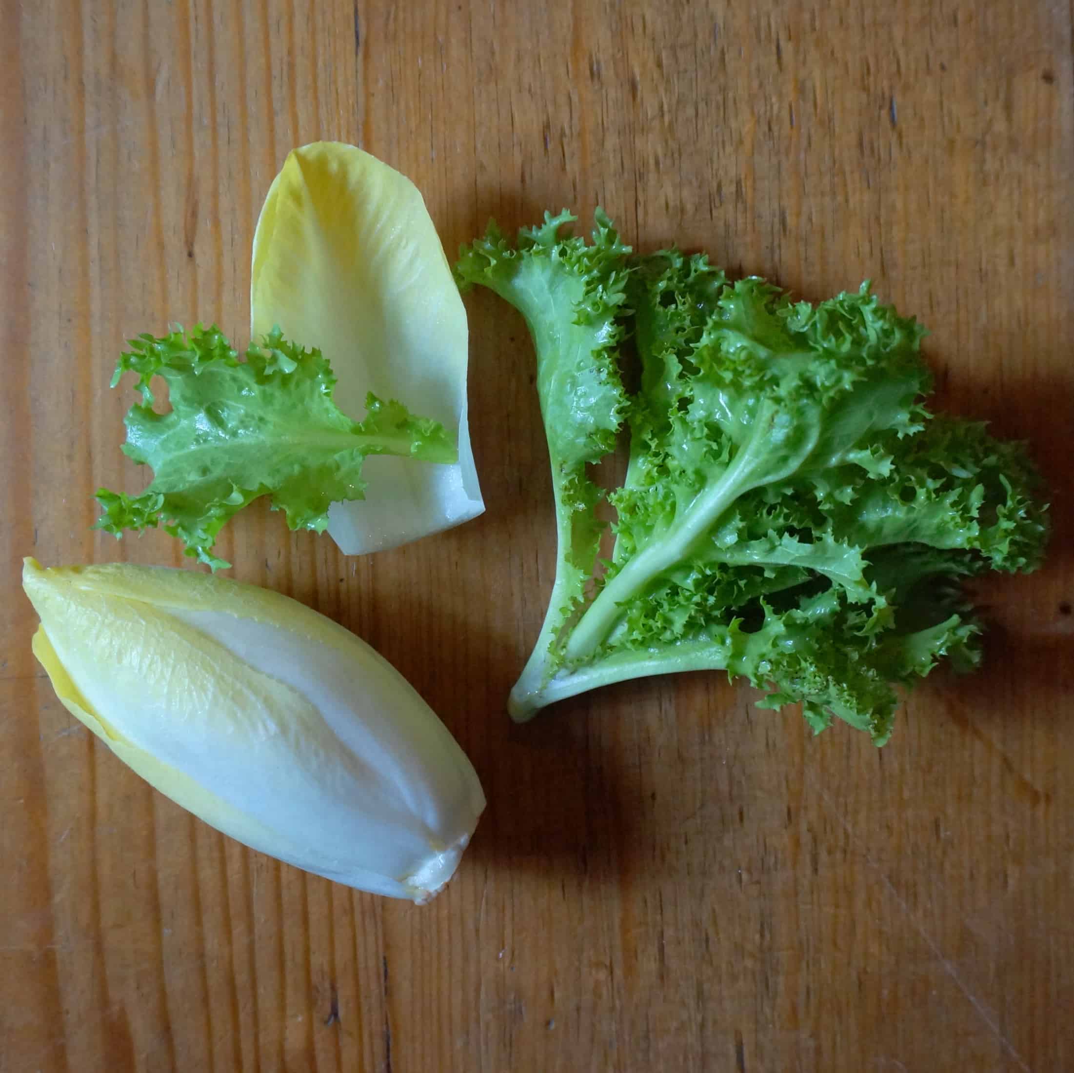 endive-garden-in-delight