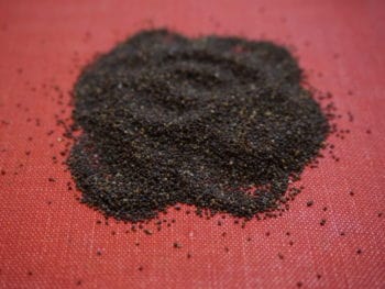 poppy seeds to sow seeds in the Bible