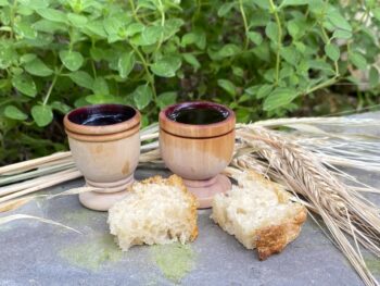 garden communion, two olive wood cups with wine and bread in front of hyssop plant