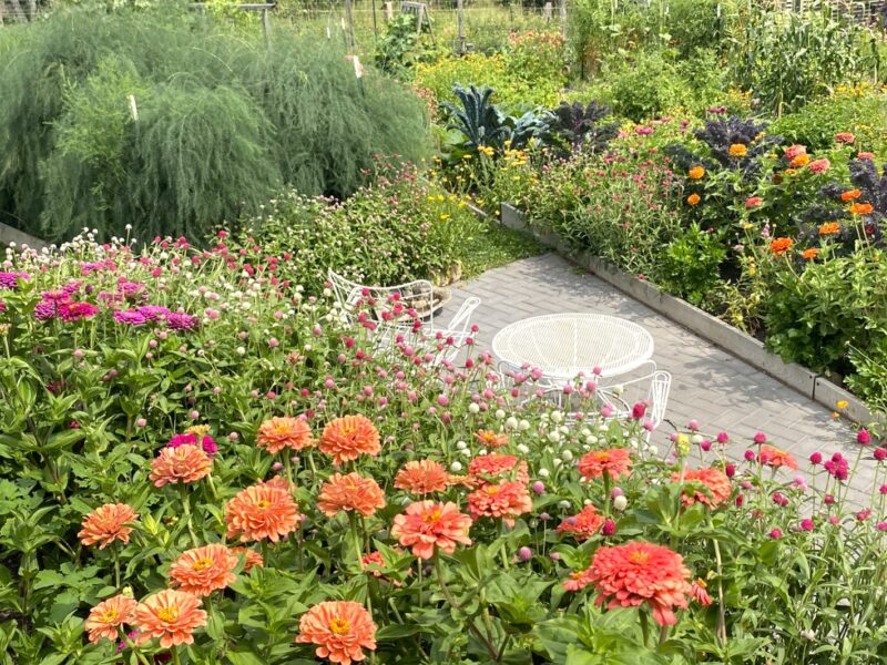 garden calling with flowers and vegetables in a Minnesota backyard