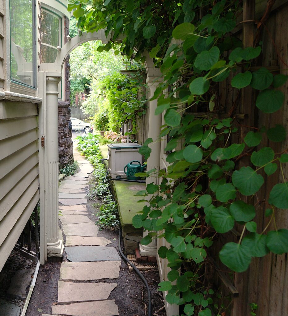 hear the garden calling in the subtle side passageway of a Buffalo NY private garden