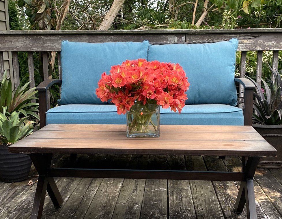 garden calling in intimate seating in a Michigan garden